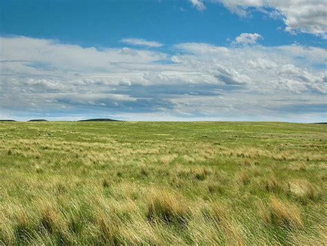 Американские Прерии Фото – Telegraph