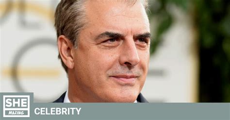 Sex And The Citys Chris Noth Denies Sexual Assault Allegations Shemazing