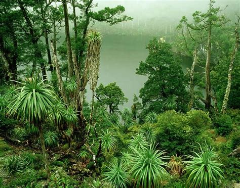 AUSTRALIA Tasmania Franklin Gordon Wild Rivers National