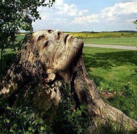 40 Exceptional Examples Of Tree Carving Art Bored Art Tree Art