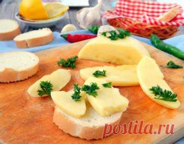 Твердый сыр из молока в домашних условиях рецепт с фото пошагово - 1000 ...