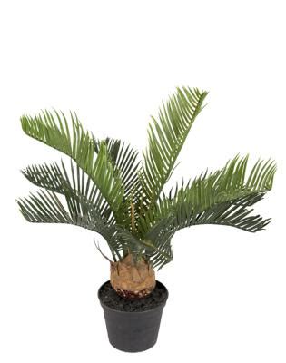 Palmier Cycas artificiel en pot H 35 cm très dense du site