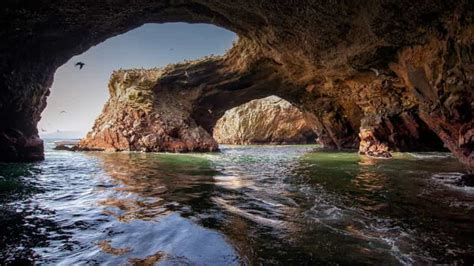 Paracas Excursi N A Las Islas Ballestas Y La Reserva De Paracas