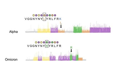 How is next-generation protein sequencing democratizing protein sequencing? – lymphhelpcenter