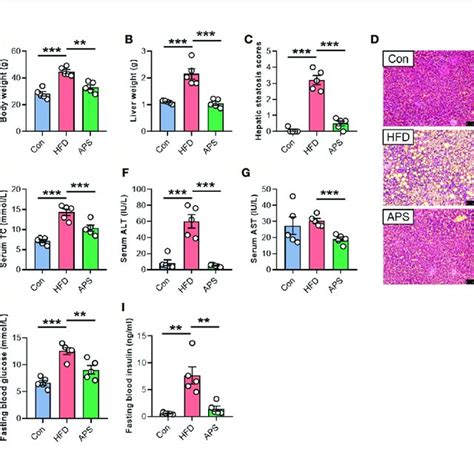 Aps Attenuates Hepatic Steatosis In Hfd Fed Mice Male C57bl6j Mice