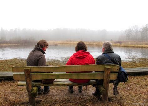 Wandel Fiets En Fotografieweblog Op Een Bankje Aan Het Kienveen