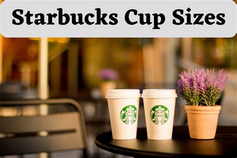 Starbucks Cup Sizes Get Complete Guide In 2024