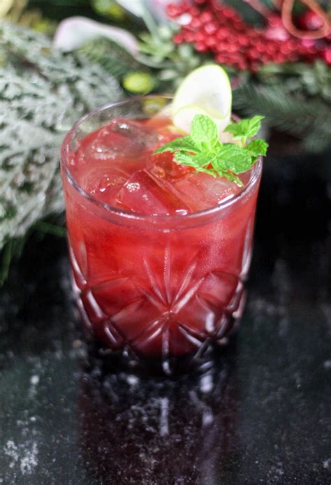 Cranberry Cocktail Recipe | Easy Everyday Recipes