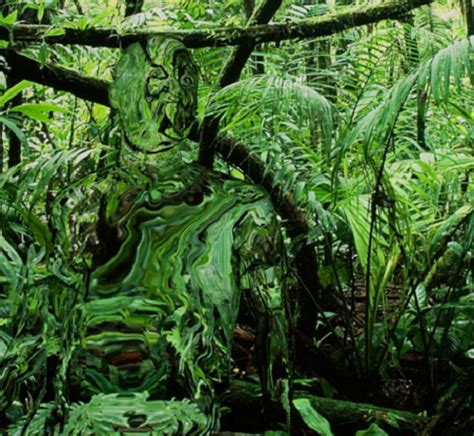 Invisible Intruders – Expanded Perspectives