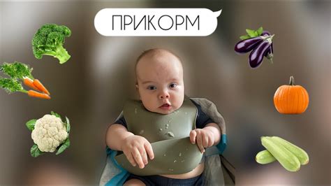 ПЕРВЫЙ ПРИКОРМ 😱НАШ ОПЫТ ПРИКОРМА 🎃 - YouTube
