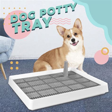 Badu.bg Преносима тоалетна за обучение на кучета Indoor Poppy Potty ...
