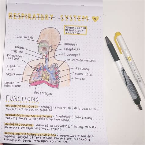 Nursing School Studying Nursing School Notes Nursing Study Student