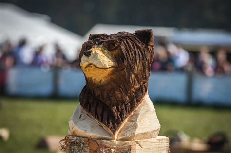 Carving Arbortec Forestwear