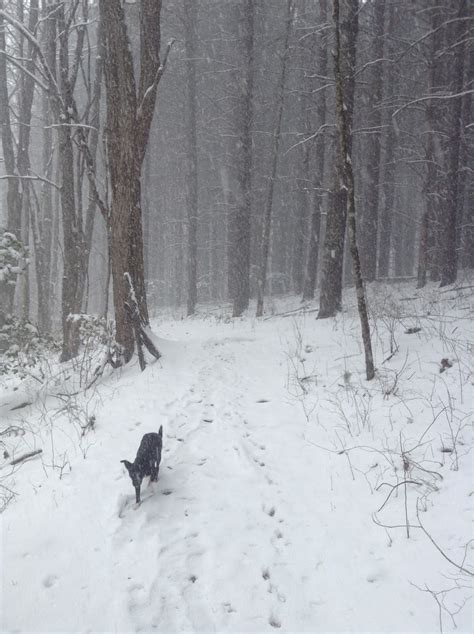 Doug Hikes the 2014 Appalachian Trail: Snow on the Appalachian Trail