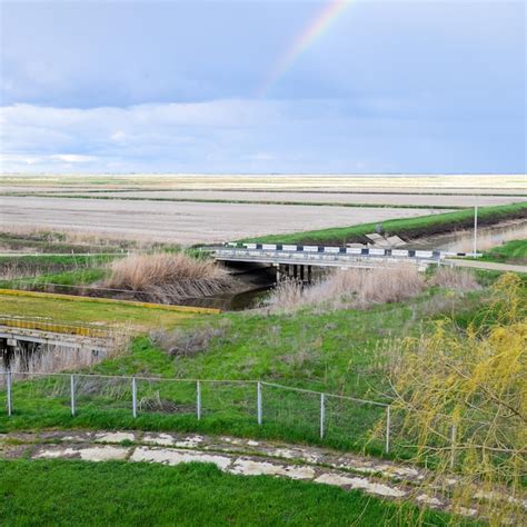 Premium Photo Bridges Through Irrigation Canals Rice Field Irrigation