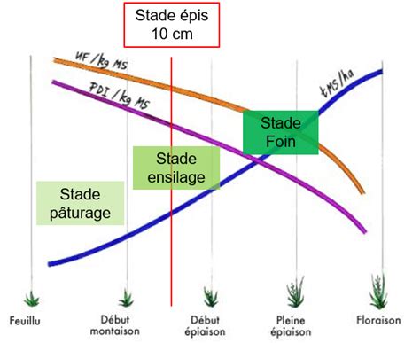 Réussir un ensilage dherbe de qualité Actualité Seenovia