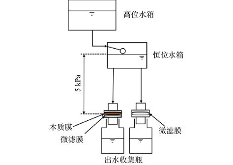 Gravity Driven Filtration System Based On Wood Membrane Coupled With