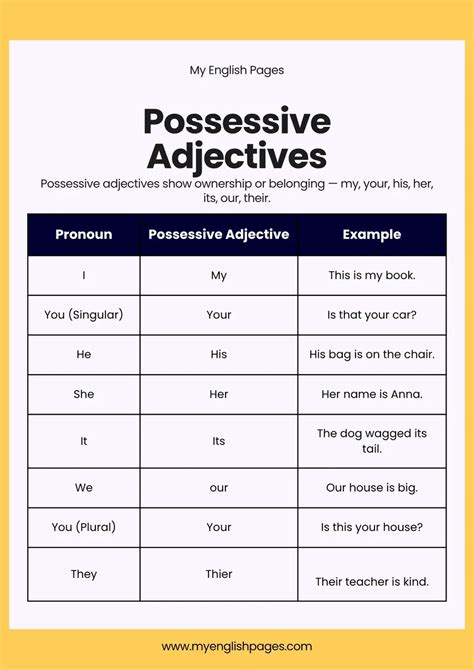 O Que E Possessive Adjectives - Possessive Adjectives English Exercises