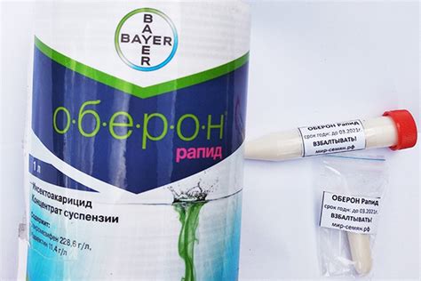 Что такое оберон рапид