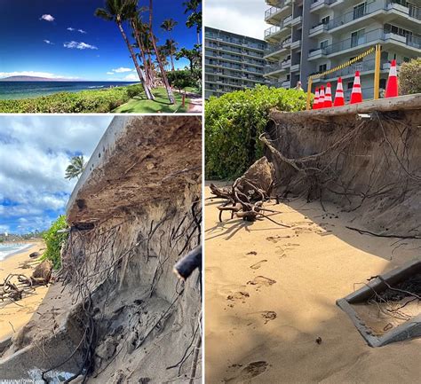 Beach Erosion Before And After