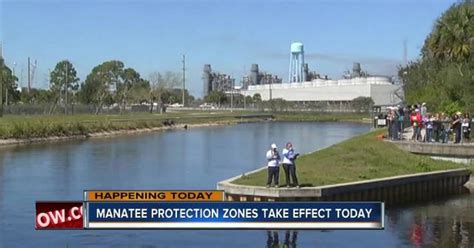 Manatee protection zones back in effect