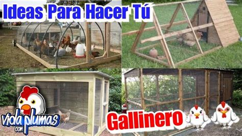 Crea tu propio gallinero fácilmente en casa con estos tips caseros