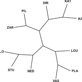 The Unrooted Neighbour Joining Tree Of Populations Parsimony And Upgma