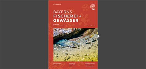 Mitgliedermagazin Bayerns Fischerei Gew Sser Dezember