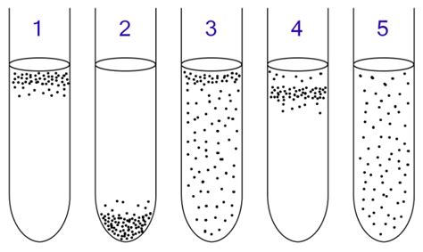 Difference Between Obligate Aerobes and Obligate Anaerobes | Compare the Difference Between ...