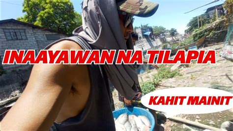 Hindi Halos Mabili Ang Tilapia Mga Mangingisda Ng Lawa Ng Laguna Lake