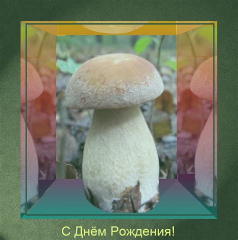 Всемирный день грибника - поздравления открытки стихи, в прозе