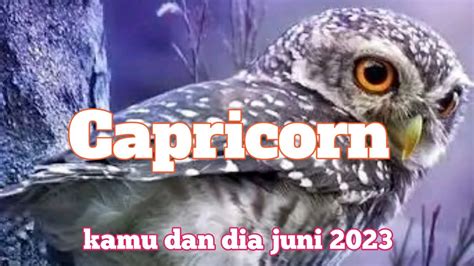 Capricorn Kamu Dan Dia Bulan Juni 2023 YouTube