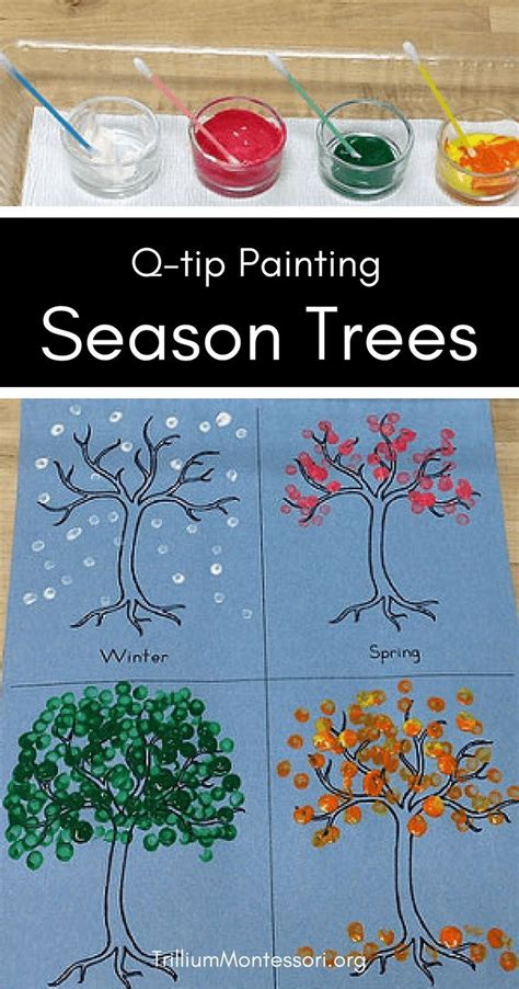 colorful  seasons trees  seasons theme preschool  season