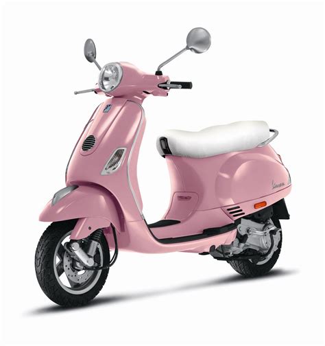 Rosa vespa – Artofit