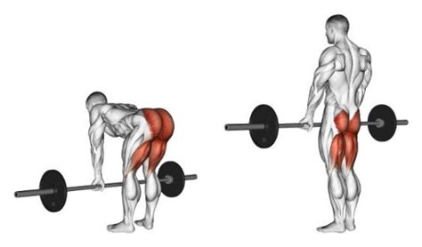 exercise   month romanian deadlift
