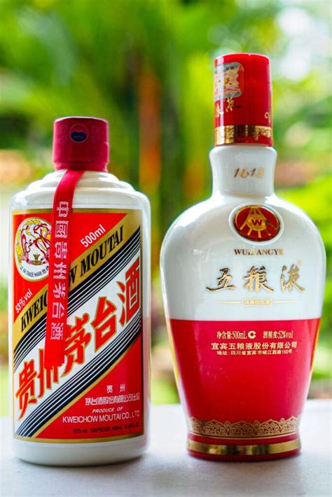 17 Traditional Chinese Drinks - Insanely Good