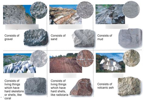 Sedimentary Rocks Diagram Quizlet