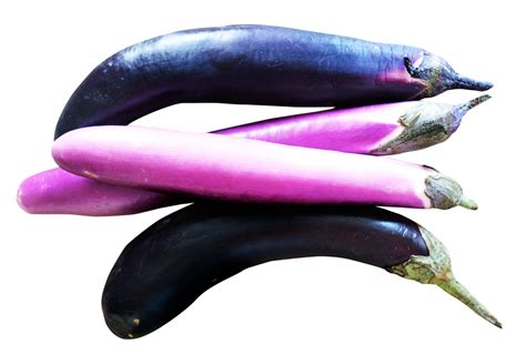 Eggplants PNG Image - PurePNG | Free transparent CC0 PNG Image Library