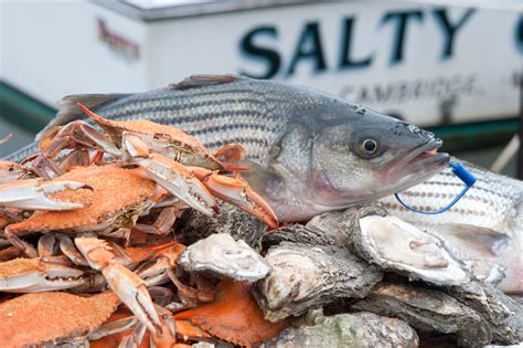 Celebrate ‘buy Maryland Seafood Days Marylands Best