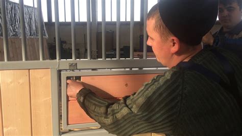 Поворотная кормушка в деннике для лошади - YouTube