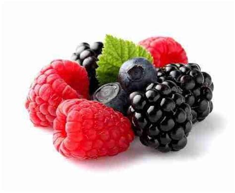 Top 5 Berry Ingredients - Nutrient Innovations Inc