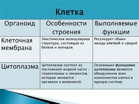 Клеточная мембрана - презентация онлайн