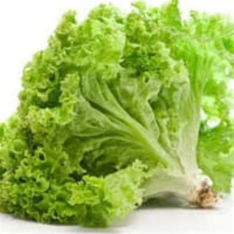 Jual Slada 1/2 kg Indonesia|Shopee Indonesia