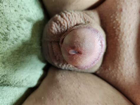 Small Cock Pre Cum Nude Pics Xhamster