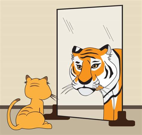 2800 Tiger Reflection Stock Photos Pictures And Royalty Free Images