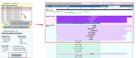 Ncbi Cd Search