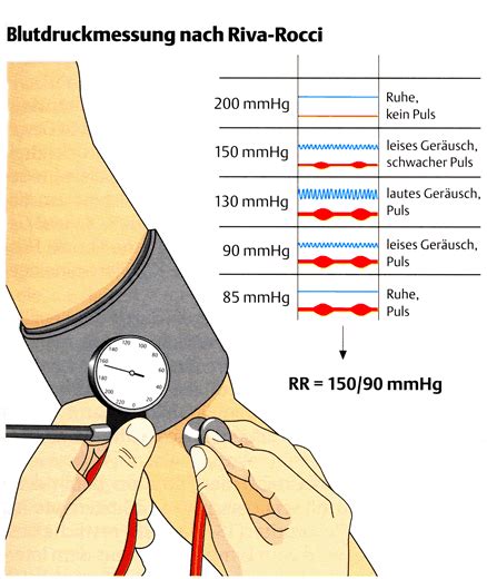 Gefäß Lexikon Blutdruckmessung Gefäßzentrum Bremen