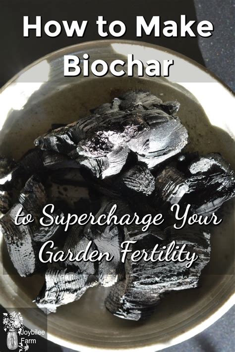 How To Make Biochar And Use It To Supercharge Your Soil Fertility