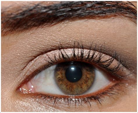 Quick Neutrals With Urban Decay S Naked Palette Urban Decay Naked Palette Naked Palette