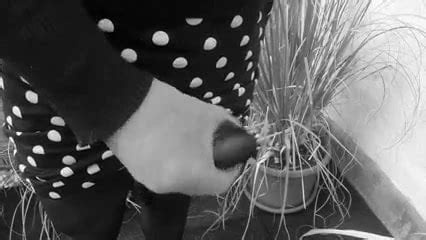 Horny Cumshot Gay Man Man Porn Xhamster